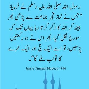 Meet your Posher, Sana