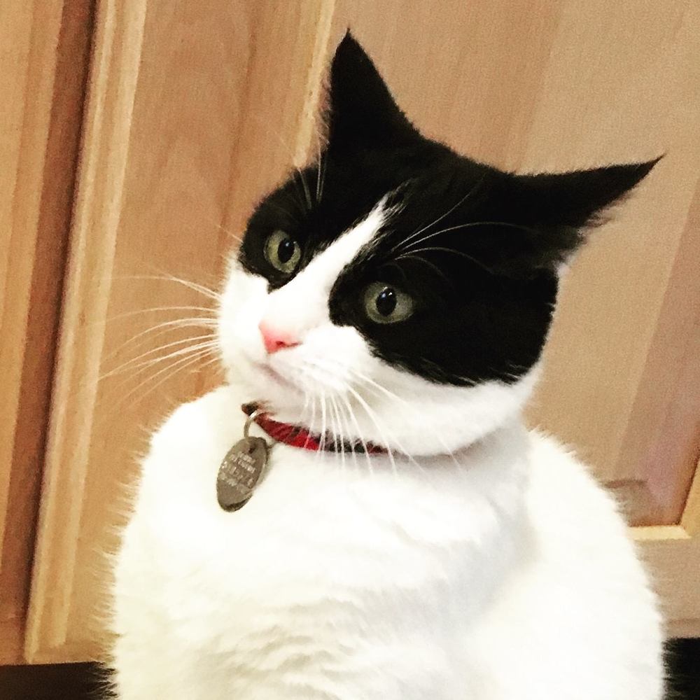 Meet your Posher, Colleen