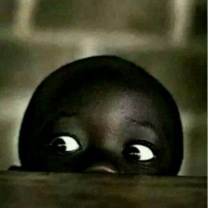 Meet your Posher, Tony