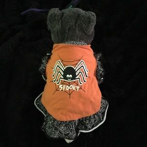 Dog Halloween costume bundle. Clown, bee, chicken