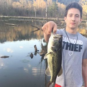 Meet your Posher, Joseph