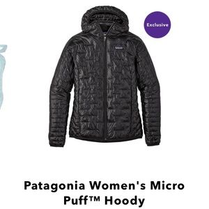 NWT Patagonia Micro Puff Hoodie Jacket
