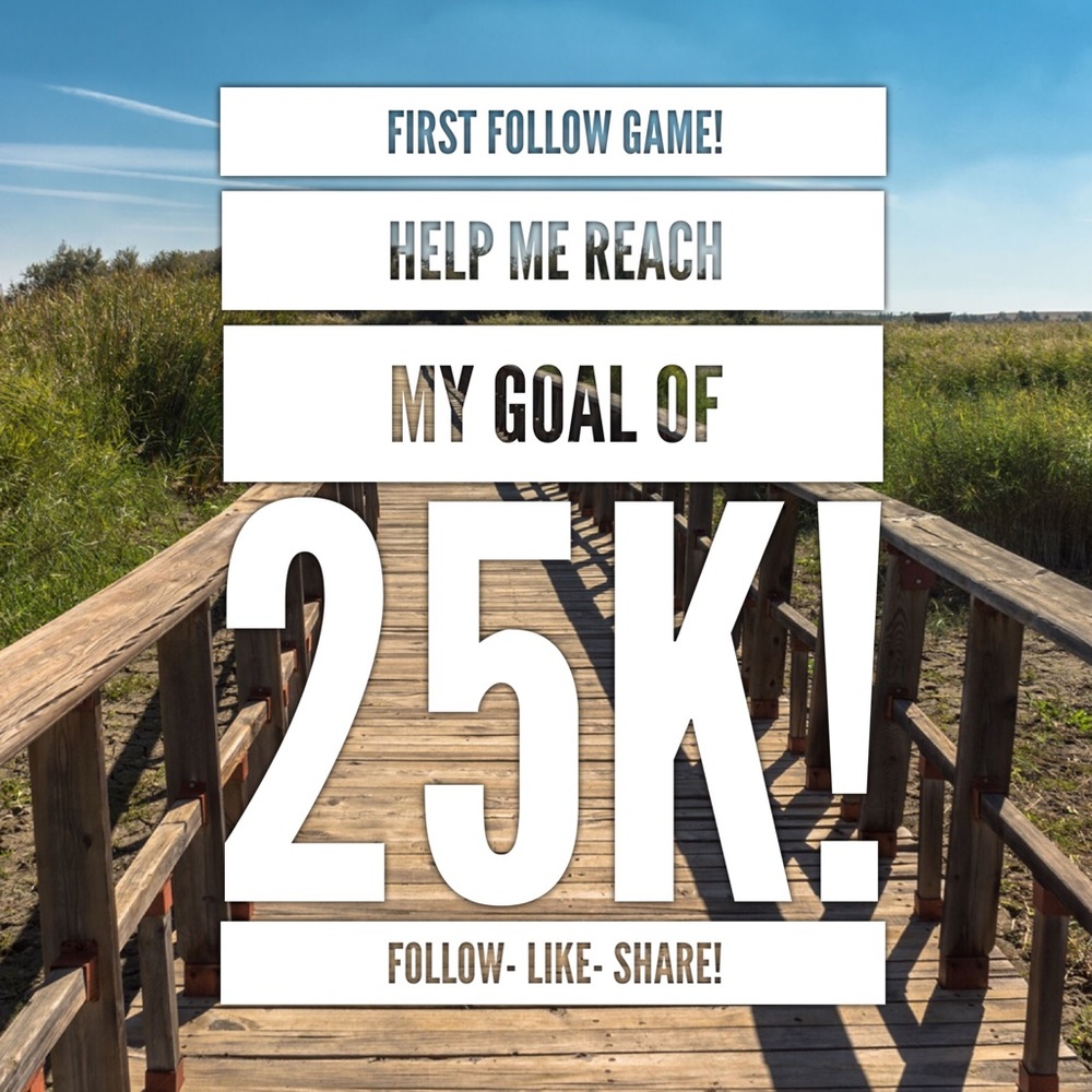 🎉FOLLOW GAME!🎉Help me reach 25k!