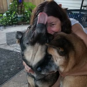 Meet your Posher, Joey