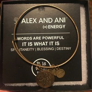 Alex and Ani "it is what it is" bracelet