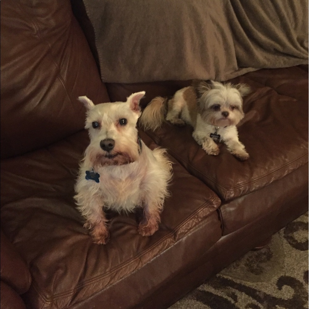 Meet your Posher, Belinda