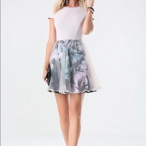 Bebe print organza overlay dress