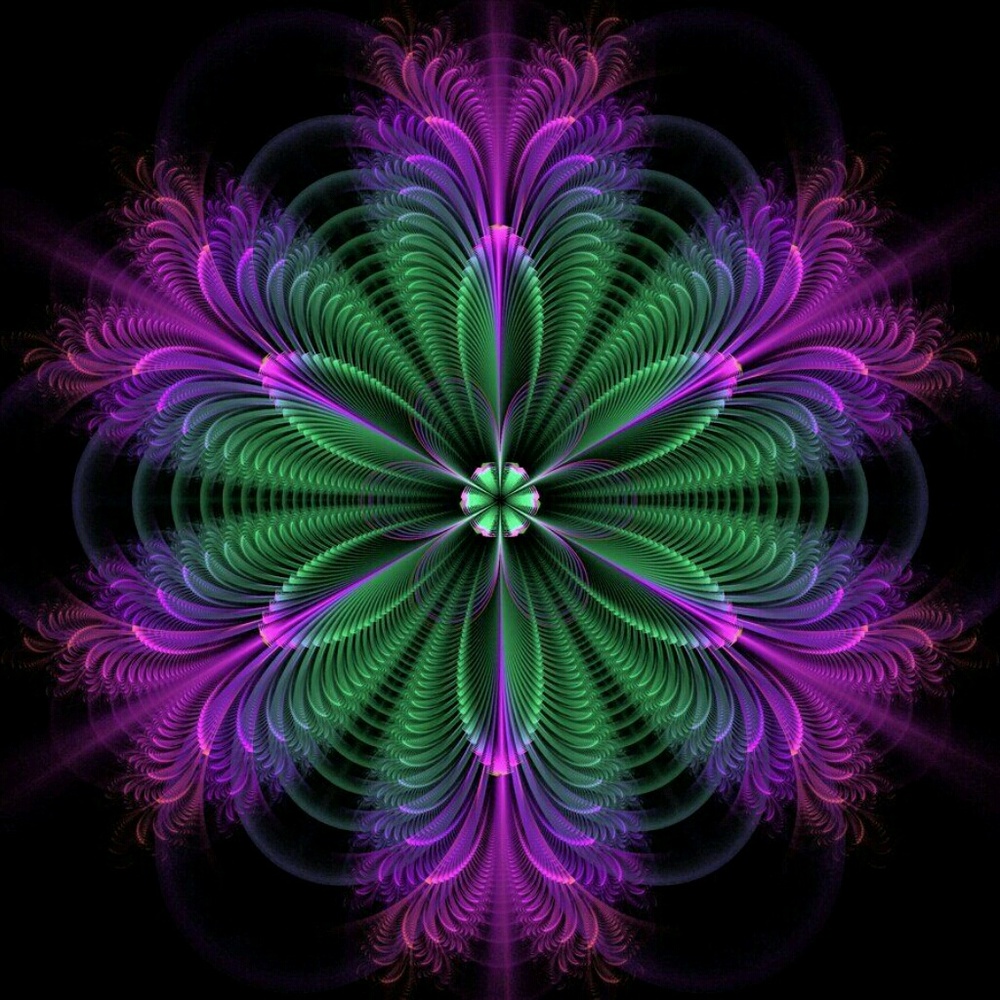 Meet your Posher, Vickie