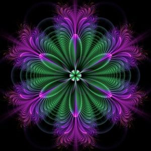 Meet your Posher, Vickie