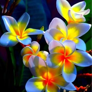 Meet your Posher, Kerri