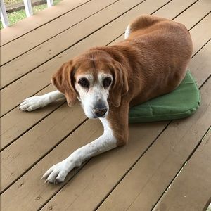 Meet your Posher, Leslie