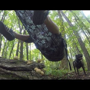 Meet your Posher, Mark