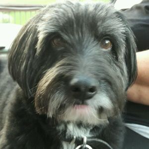 Meet your Posher, Robert