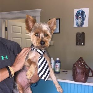 Meet your Posher, Dena