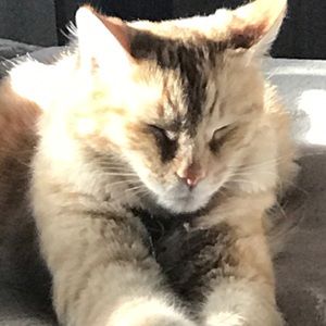 Meet your Posher, Robin