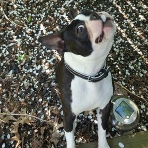 FALL SALE!!! Don't pass up these great & fab deals