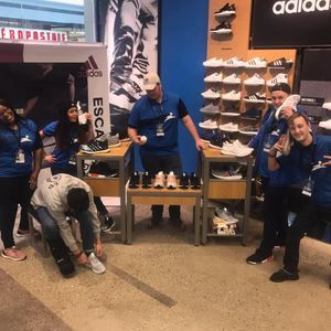 Meet your Posher, Paul