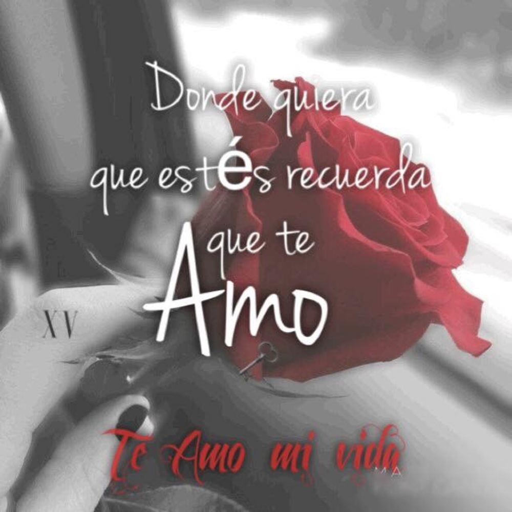 Meet your Posher, Mayra