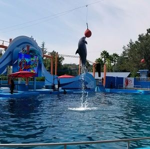 Meet your Posher, Eddie