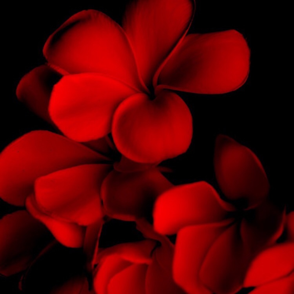 Meet your Posher, Mari