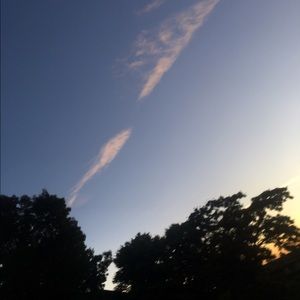 Meet your Posher, Kyra