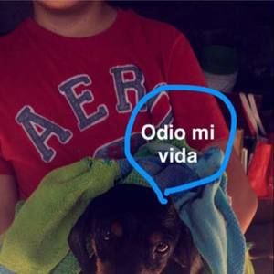 Meet your Posher, Manuel