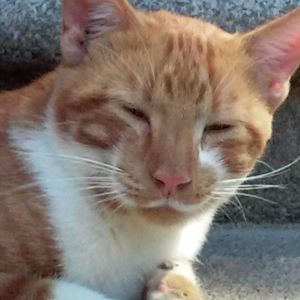 Meet your Posher, Carolyn r