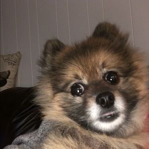 Meet your Posher, Kenya