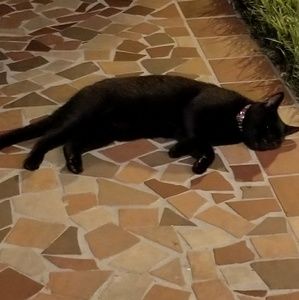 Meet your Posher, Kim