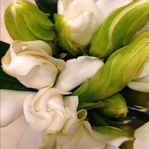 Meet your Posher, Dana