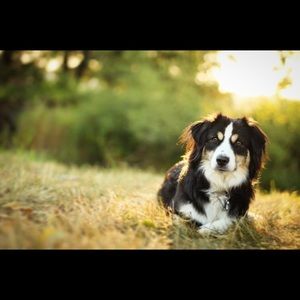 Meet your Posher, Justin