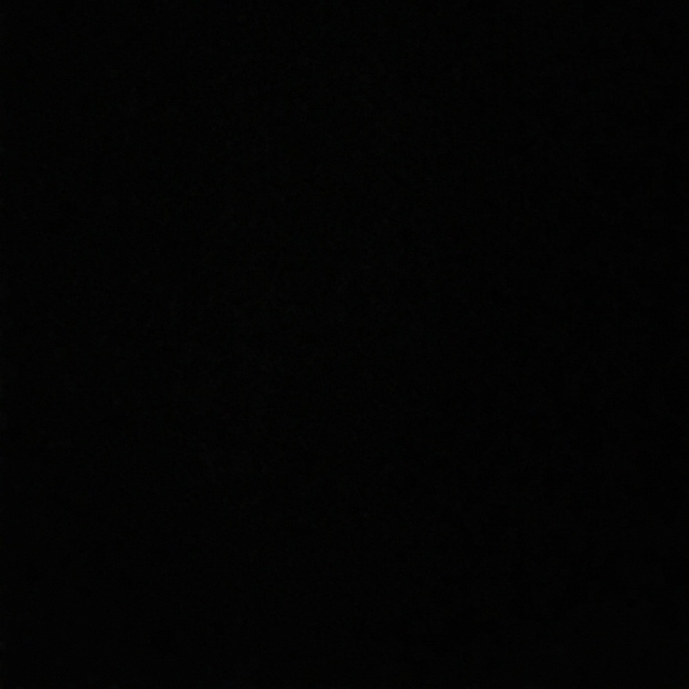 Meet your Posher, Jessie