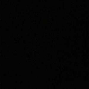 Meet your Posher, Jessie