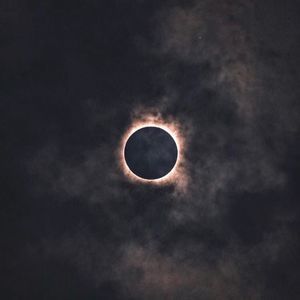 Meet your Posher, Ross