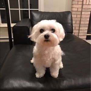 Meet your Posher, Debbie