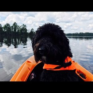 Meet your Posher, Mitch