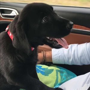 Meet your Posher, Eric