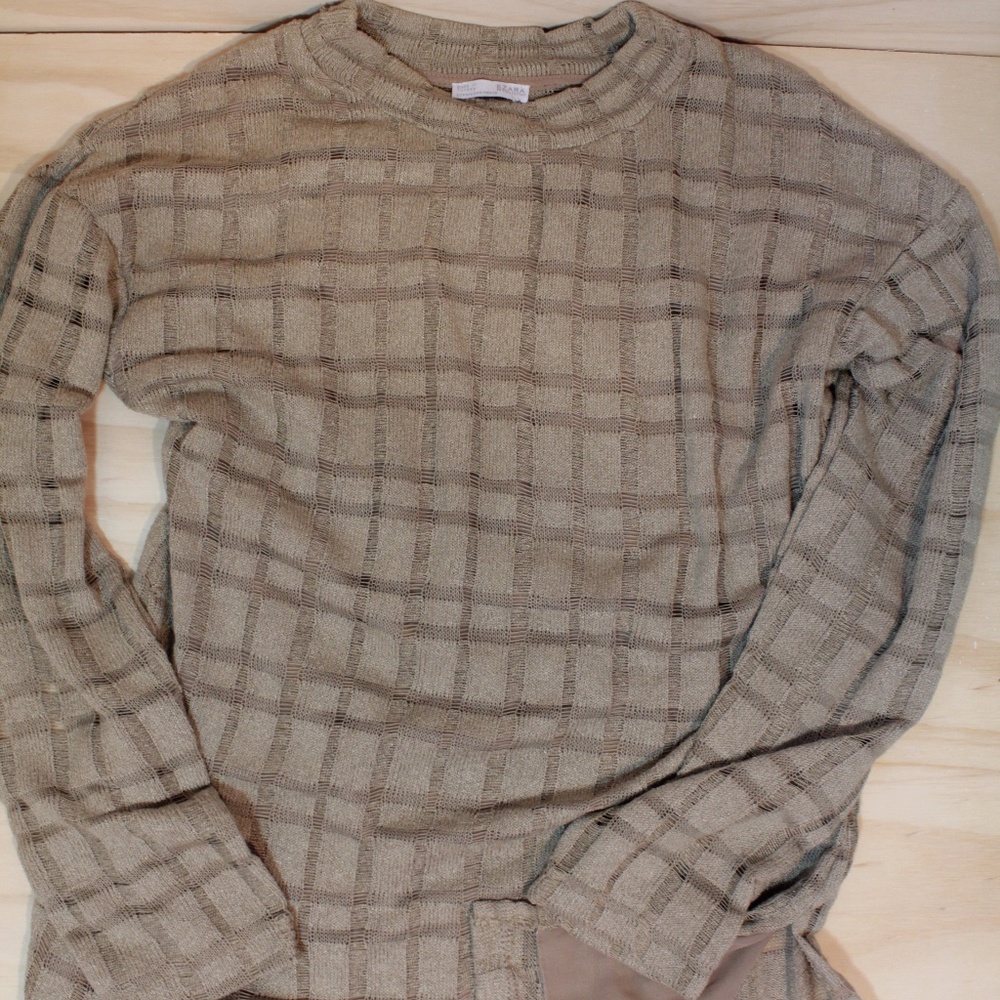 **Sold**Zara Knit Sheer Delicate Pull-Over