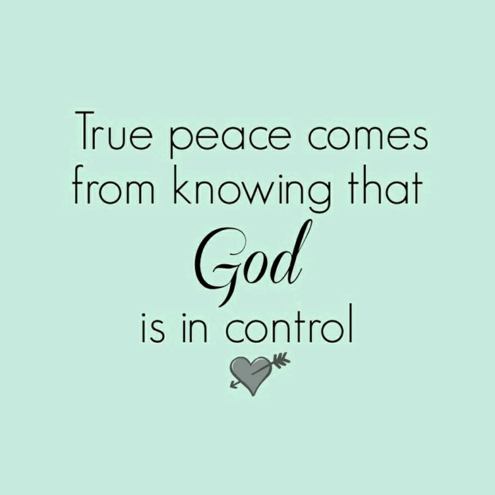 Meet your Posher, Shirley