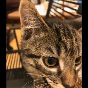 Meet your Posher, Casey