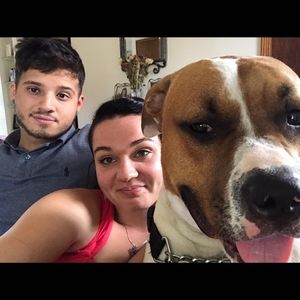 Meet your Posher, Tony