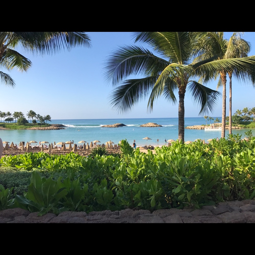 Meet your Posher, Maggie