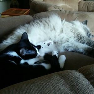 Meet your Posher, Roberta