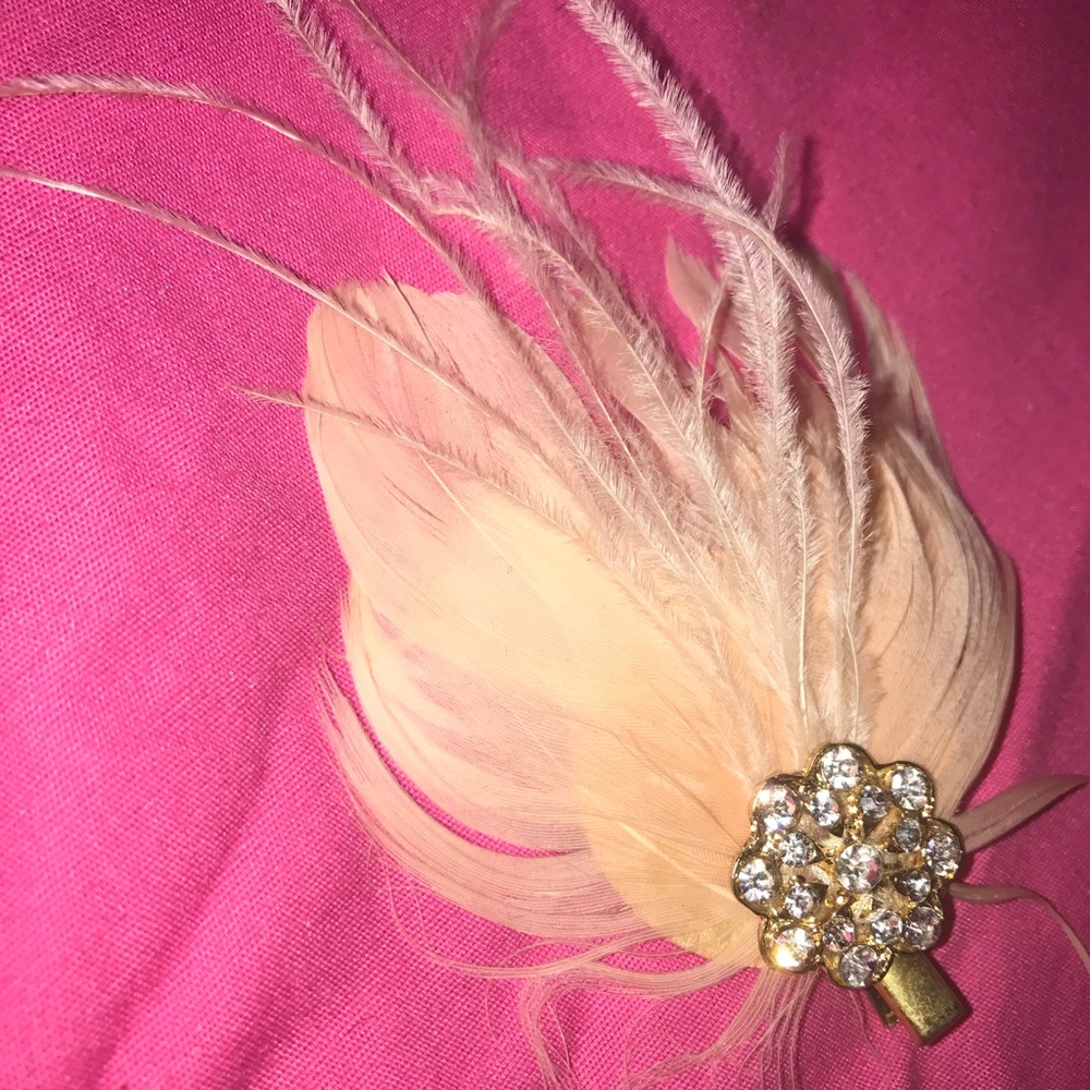 Hair Clip