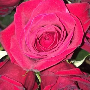 Meet your Posher, Jayda