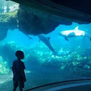 Meet your Posher, Chad