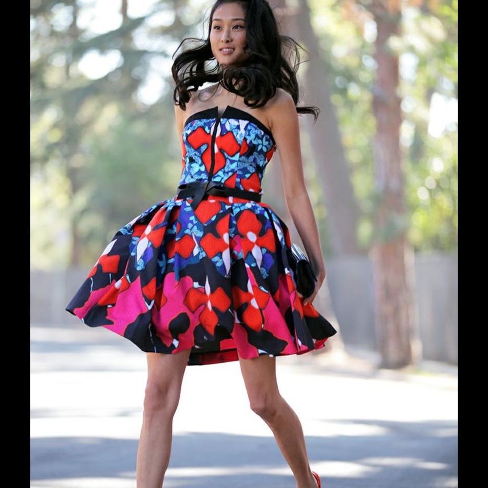 🌺 RARE Peter Pilotto Party Dress 🌺