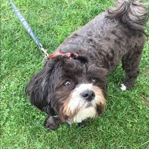 Meet your Posher, Mary