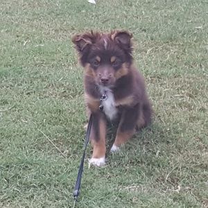 Bundle Your Faves for a Private Offer - ❤ Sadie🐶