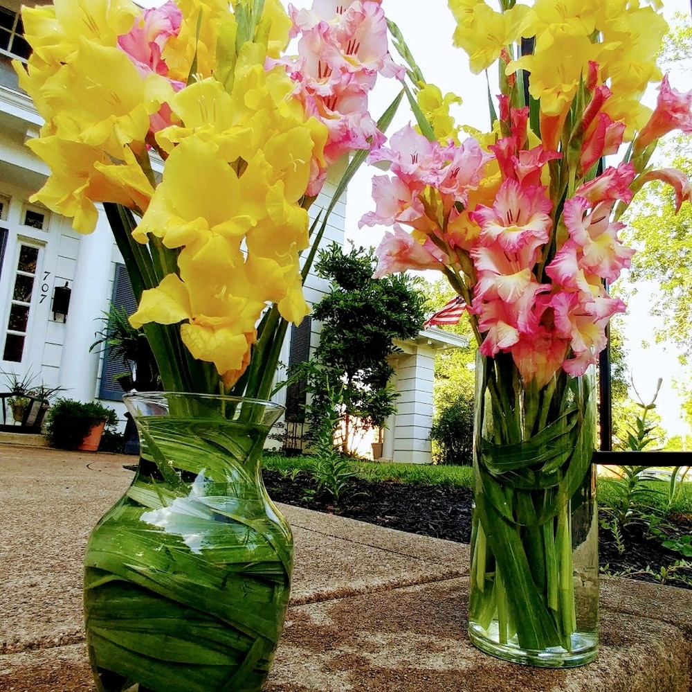 Meet your Posher, Terie